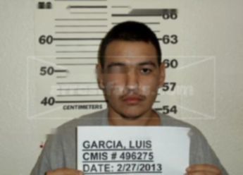 Luis E. Garcia