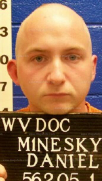 Daniel Allen Minesky