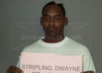 Dwayne Cortez Stripling