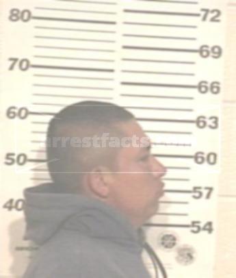 Emmanuel Guerrero Vigil
