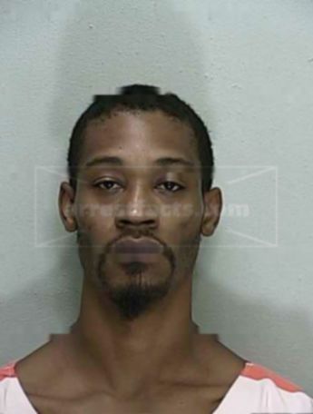 Virgil L Robinson