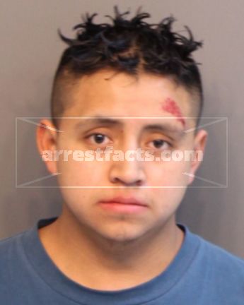 Oscar Gonzalez-Ramirez