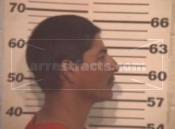 Jose Luis Villanueva Flores