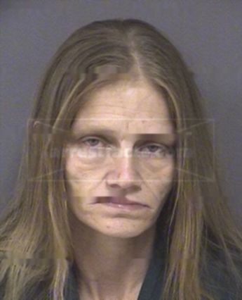 Sandra Lee Wells