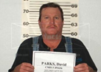 David Michael Parks