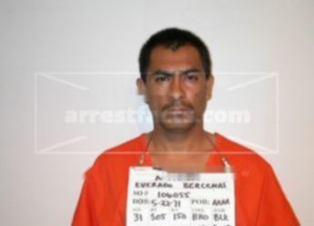 Everado Bercenas Morales