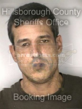 Robert Campbell Greer Ii