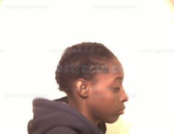 Rolonda Chamaine Woodfork Williams
