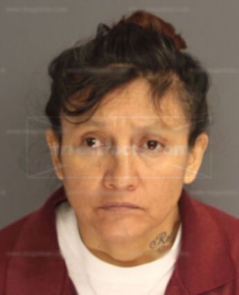 Martha Andrade Jerez