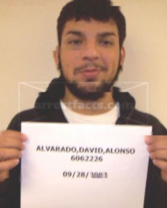 David Alonso Alvarado