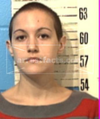 Michelle Lee Dokken