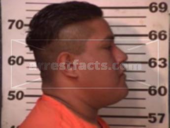 Jesus Almazan Luna