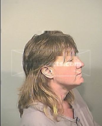 Jamie Irene Lane Holt