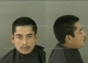 Braulio Bustamante