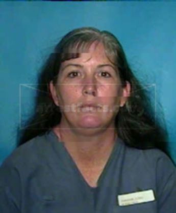 Lisa J Johnson