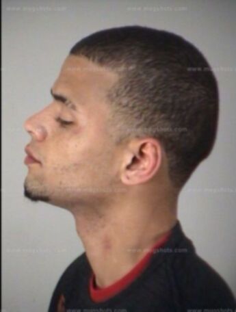 Logan Carroll Mcknight