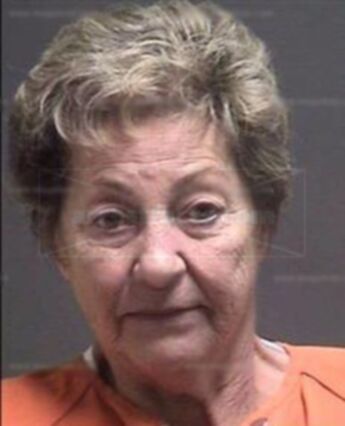 Virginia Gail Greenisen