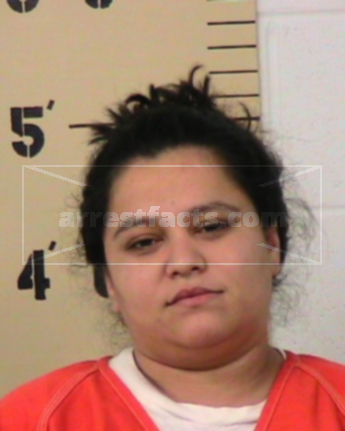 Crystal Diane Castillo