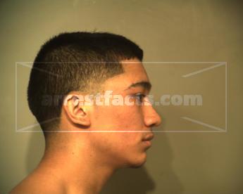 Arnulfo Jr. Cruz Alvarado