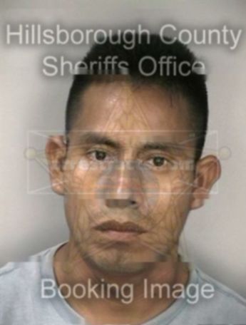 Marcos G Mendoza