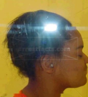 Shanetta Hudson