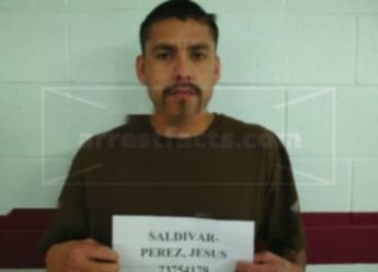 Jesus Saldivar-Perez