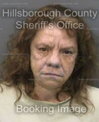 Tammy J Maynard
