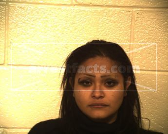 Nieves Marie Carizal Mireles