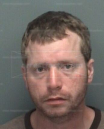 Shane Quinton Whipple