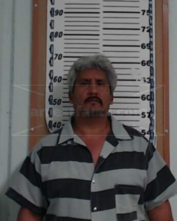 Trinidad Garcia-Gonzalez