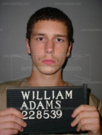 William C Adams