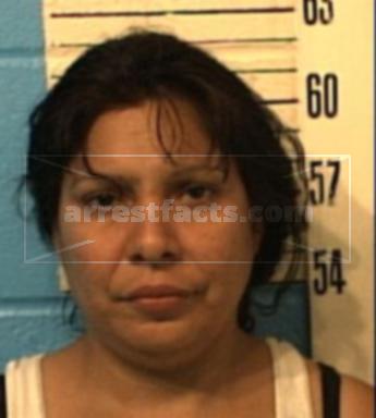 Annie Soto Castillo