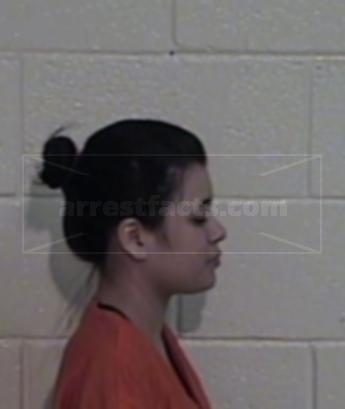 Ashley Marie Silva Ramirez