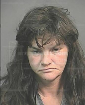 Robin Ann Demster