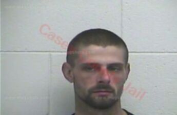 Roy D Patterson Ii