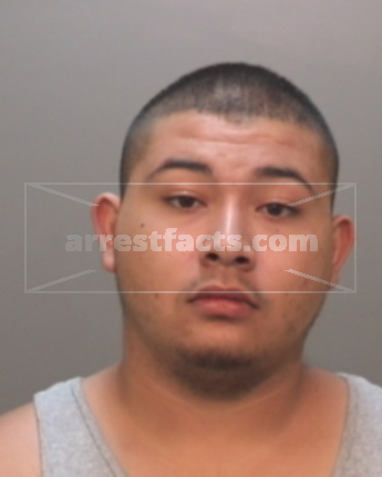 Jose Jesus Flores