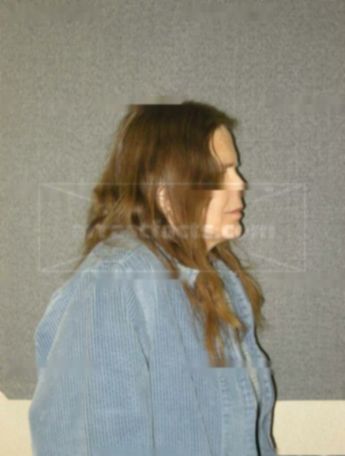 Amy L Holz