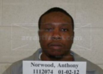 Anthony D Norwood