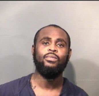 Terry Lynn Walls