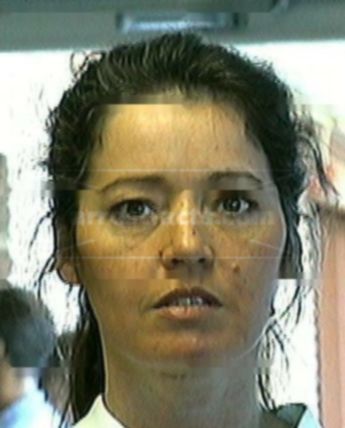 Kathy M Willis