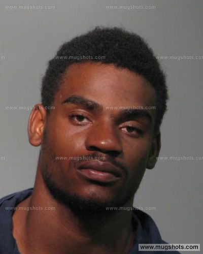 Dante D Rouse