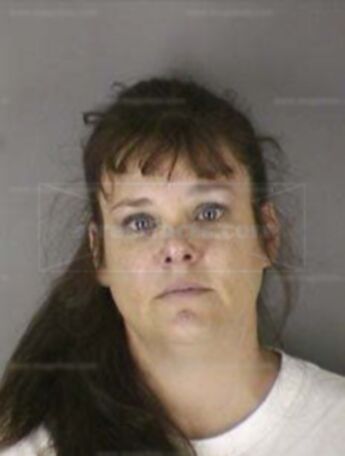 Catherine J Reeves