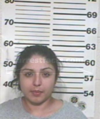 Emily Rodriguez Trevino