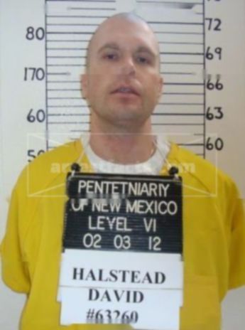 David Austin Halstead