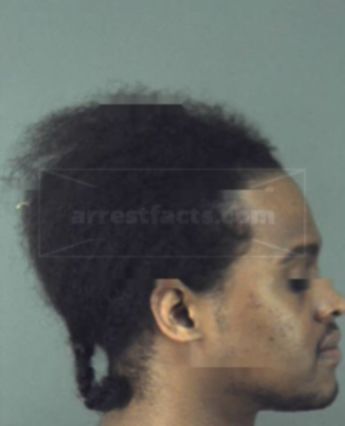 Ronald Lee Wiggins Jr