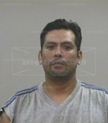 Nelson Miguel Ayala