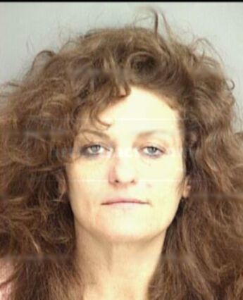 Christine Elane Mcmahan