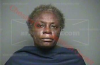 Anita Elaine Hayes