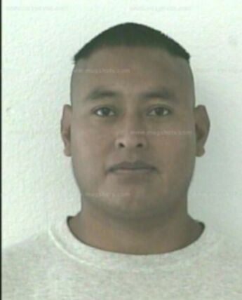 Julio P Ortiz