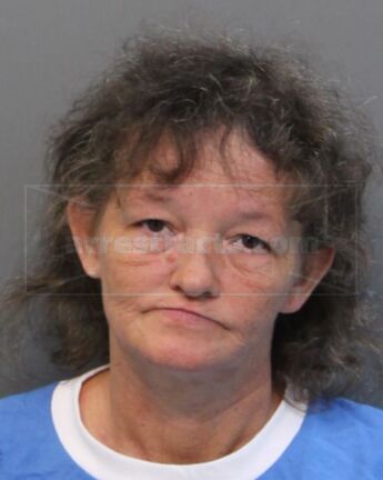 Tina Ann Mcintosh